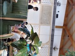 -青柠记忆泰式海鲜火锅(合生汇购物中心店)
