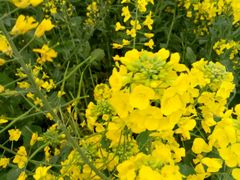 -星巴克(株洲荣时代广场店)