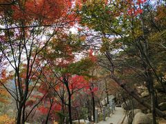 -崂山巨峰游览区