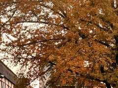 -中南财经政法大学(首义校区)