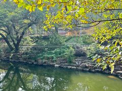 -冶父山国家森林公园