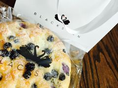 -BLACKSWAN黑天鹅(环球店)