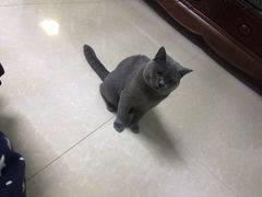 -宠福鑫康馨动物医院·骨科·眼科