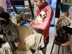 -萌喵咖啡屋(人民东路4号口M16商铺店)