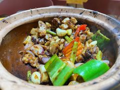 -天宝食坊·啫啫煲大排档(西华路店)