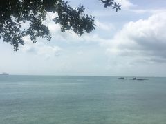 -绿中海度假村