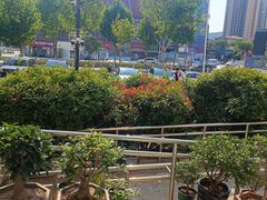 -萌萌牛紫米露(烟台大学店)