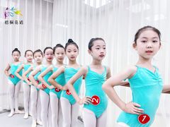 -梧桐花语舞蹈培训中心(潞城校区)
