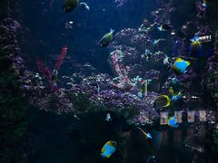 -海合安青岛极地海洋公园