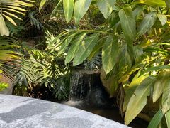 -汇雅温泉