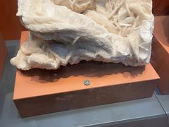 -浙江自然博物院(杭州馆)