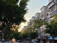 -半山林海