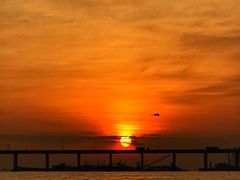 -宝安西湾红树林湿地公园