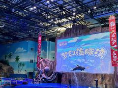 -华夏文旅海洋公园