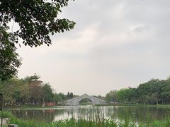 -映月湖公园