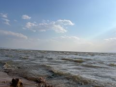 -呈贡滇池生态湿地公园