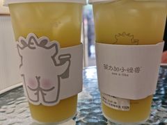 油柑铁观音-茶力的小怪兽(梅林卓悦汇店)