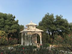 -东湖落雁景区