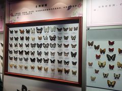 -吉林省自然博物馆