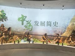 -广东中医药博物馆
