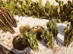 -双月湾小星山潜水·浮潜俱乐部