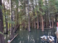 -星湖旅游景区七星岩