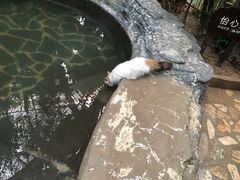 -龙达温泉生态城