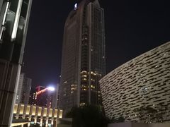 -广州富力丽思卡尔顿酒店