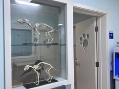 -酷宠动物医院(天通西苑店)