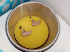 -自然之声助听器·呼吸机(公园路店)