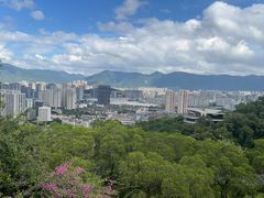 -金鸡山公园