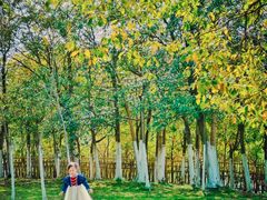 -艾溪湖湿地公园