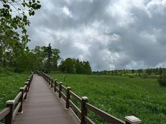 -凤凰山国家森林公园