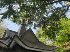 -鸿山公园