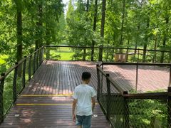 -黄海国家森林公园