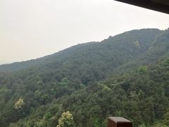 -铁山坪森林公园