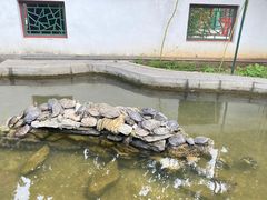 -红螺寺