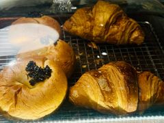 -Wagas沃歌斯(枫蓝国际店)
