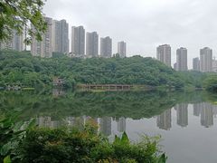 -重庆彩云湖湿地公园