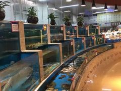 -福娣·金沙银贝海鲜火锅