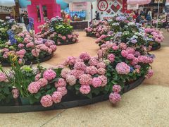 -上海长风大悦城