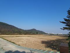 -风云岭森林公园