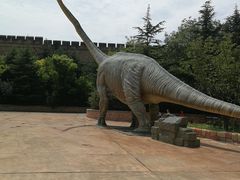 -青岛方特梦幻王国