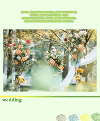 -HELLO你好婚礼婚庆策划