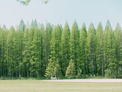 -黄海国家森林公园