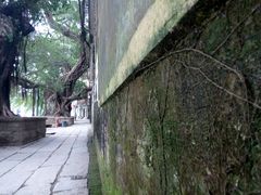 -小洲村