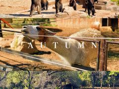 -沈阳森林动物园