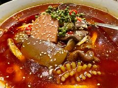 -羲和雅苑•北京烤鸭(平安国际金融中心店)