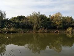 -天目湖涵田半山温泉
