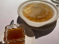 -新同乐鱼翅酒家(美丽华店)